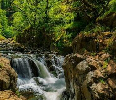 İstirahət günlərində parklara getmək istəyənlərin nəzərinə!