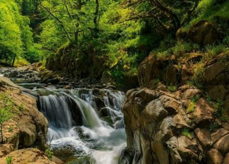 İstirahət günlərində parklara getmək istəyənlərin nəzərinə!