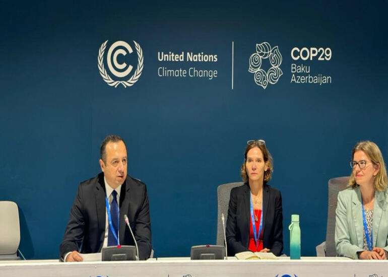 COP29-da ekoloji hüquq sahəsində məhkəmə təcrübəsi ilə bağlı panel keçirilib