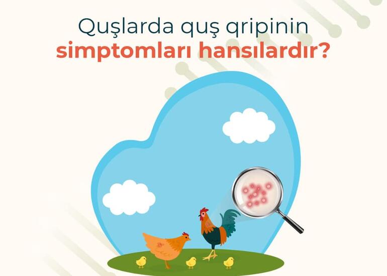 Quş qripi və onun yayılma yolları