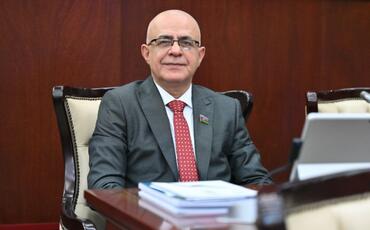 “Qanunvericiliyin istisna halları nəzərə alması son dərəcə vacibdir”-Elçin Mirzəbəyli
