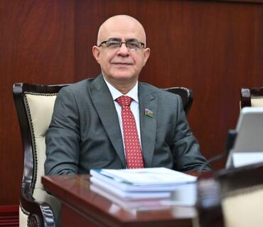 “Qanunvericiliyin istisna halları nəzərə alması son dərəcə vacibdir”-Elçin Mirzəbəyli
