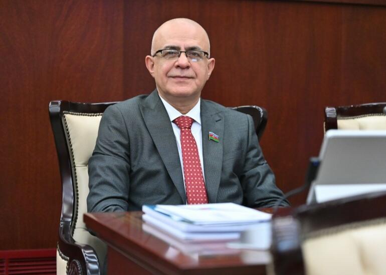 “Qanunvericiliyin istisna halları nəzərə alması son dərəcə vacibdir”-Elçin Mirzəbəyli