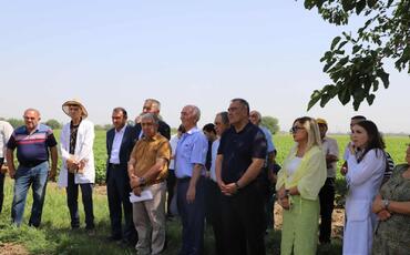 "Günəbaxan bitkisinin becərilməsində yeni texnologiyaların tətbiqi” mövzusunda tarla seminarı keçirilib