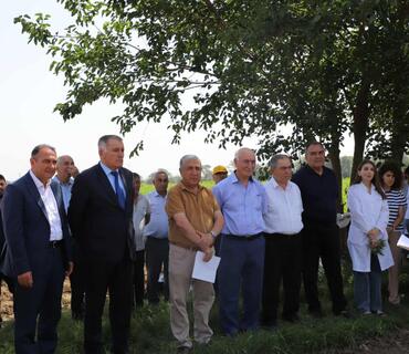 "Günəbaxan bitkisinin becərilməsində yeni texnologiyaların tətbiqi” mövzusunda tarla seminarı keçirilib