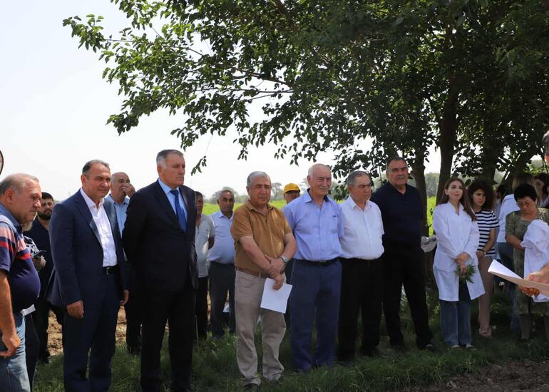 "Günəbaxan bitkisinin becərilməsində yeni texnologiyaların tətbiqi” mövzusunda tarla seminarı keçirilib