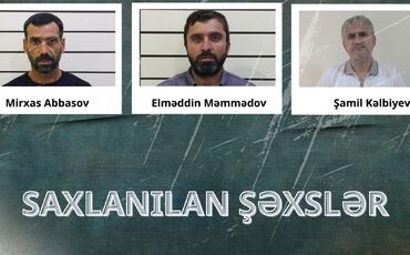Lənkəranda narkotik tərkibli bitkilər yetişdirən şəxslər həbs edilib